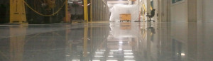 Floor polishing at automotive manufacturing company.