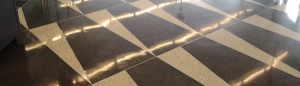 Terrazzo floor restoration and polishing
