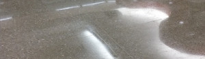 Commercial High Gloss flooring at MetroLink Moline IL