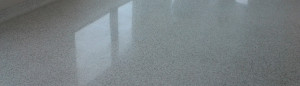 Commercial Terrazzo floor polishing at financial insurance company