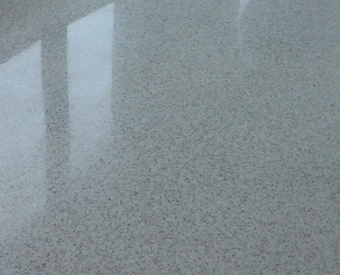 Commercial Terrazzo floor polishing at financial insurance company