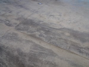 Concrete slab after floor preparation: Tile grout removal